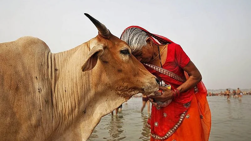 "गो माता अभियान 2026 ग्रामीण विकास योजना"