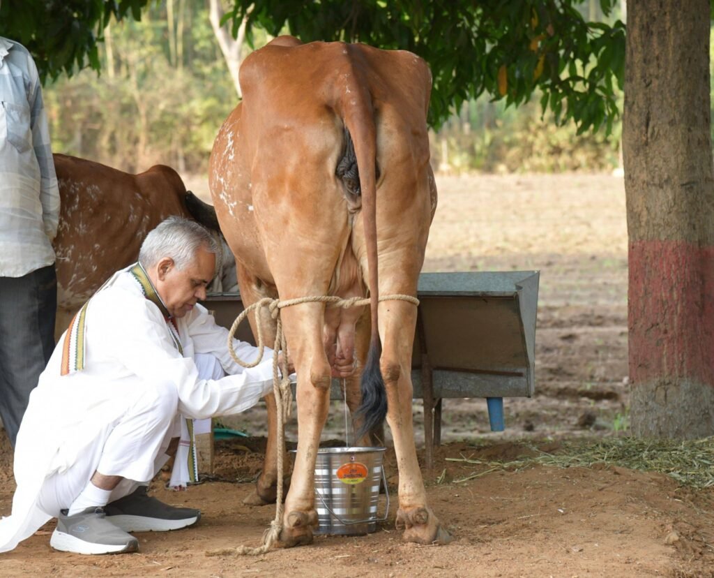 प्राकृतिक खेती किसानों की समृद्धि का मार्ग पंचमहाल के मलाव गांव में हल चलाते हुए