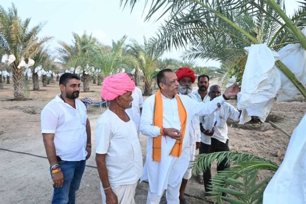 खजूर के बाग में किसानों के साथ फसल का निरीक्षण करते हुए अतिथि और कृषि विशेषज्ञ।