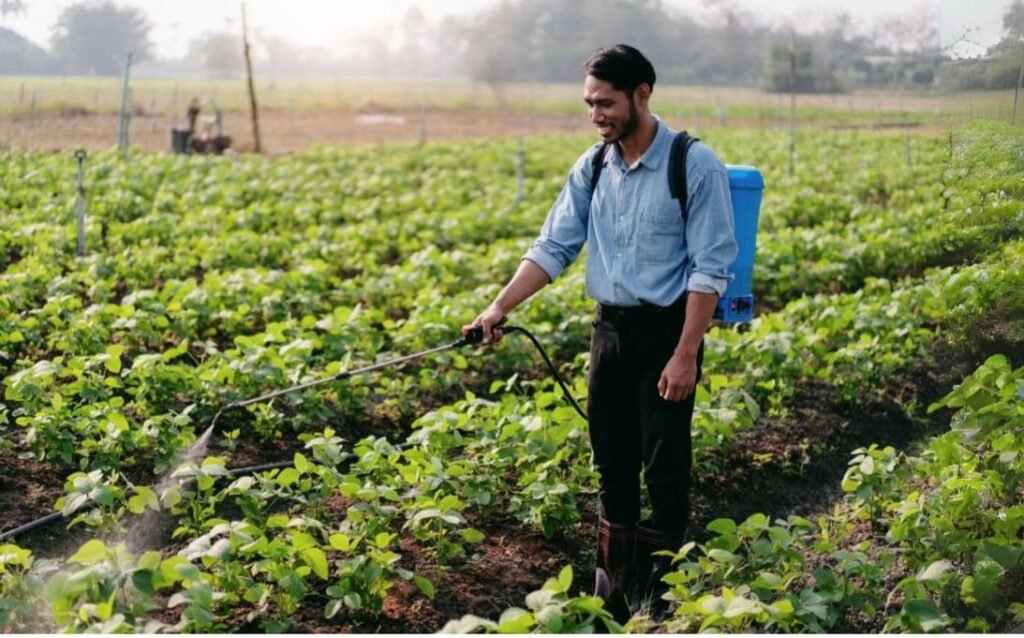 खेत में स्प्रे पंप से फसलों पर कीटनाशक का छिड़काव करता किसान।