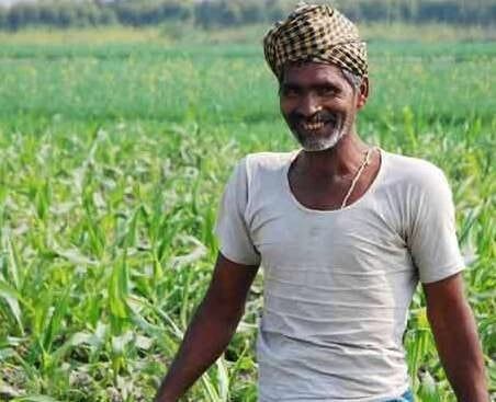 प्रधानमंत्री फसल बीमा योजना के तहत खेत में फसल का निरीक्षण करते किसान