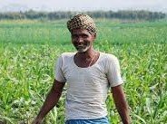 81 गांवों के किसानों की समस्याओं को दर्शाती खेत में खड़े किसान की प्रतीकात्मक तस्वीर
