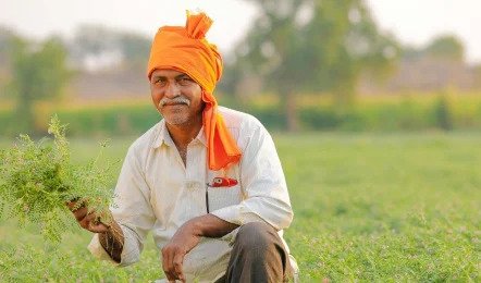 आंध्र प्रदेश फसल बीमा दावा: केंद्र ने खरीफ 2024 के लंबित दावों को दी मंजूरी