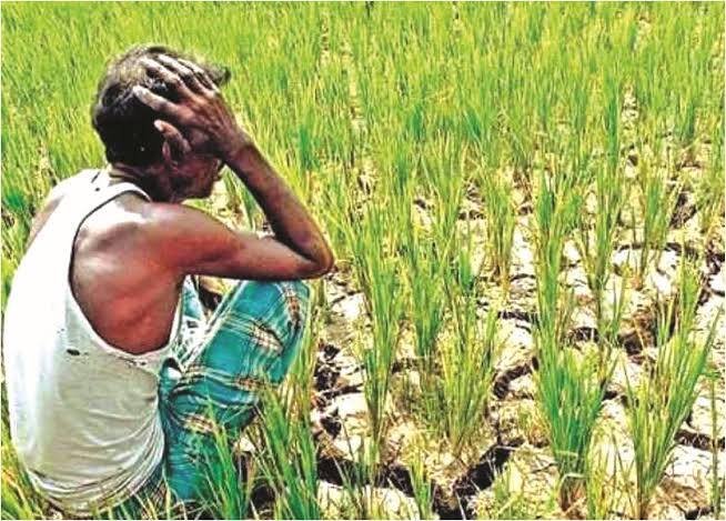 अनियमित मानसून के कारण खरीफ फसल की बुवाई करते किसान