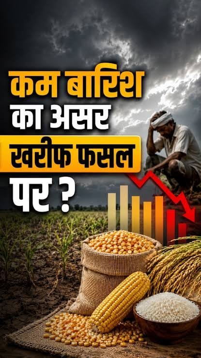 भारत में खरीफ फसल की प्रगति और कृषि गतिविधियां