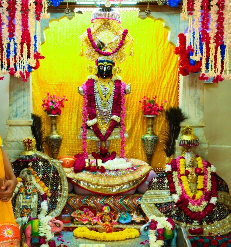 अलवर में मुख्यमंत्री भजनलाल शर्मा का भव्य रोड शो, भाजपा प्रत्याशियों के समर्थन में जुटी भीड़