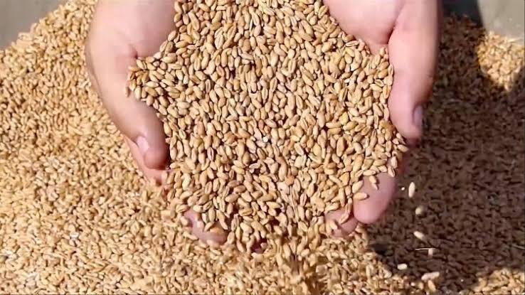 भारत की खाद्य सुरक्षा और कृषि व्यवस्था