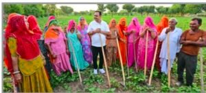 राजस्थान में फसल सुरक्षा योजना के तहत खेतों की बाड़बंदी