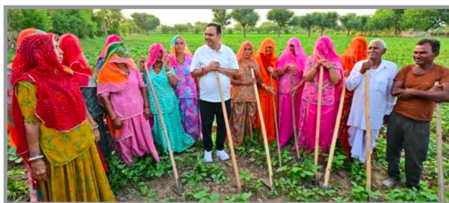 राजस्थान में फसल सुरक्षा योजना के तहत खेतों की बाड़बंदी