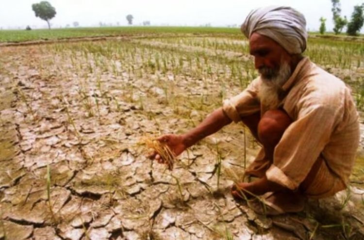 अल नीनो और कमजोर मानसून से प्रभावित भारतीय खेत और किसान