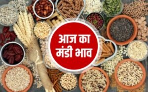राजस्थान की कृषि मंडी में सरसों, गेहूं, बाजरा और अन्य फसलों की बिक्री करते किसान।